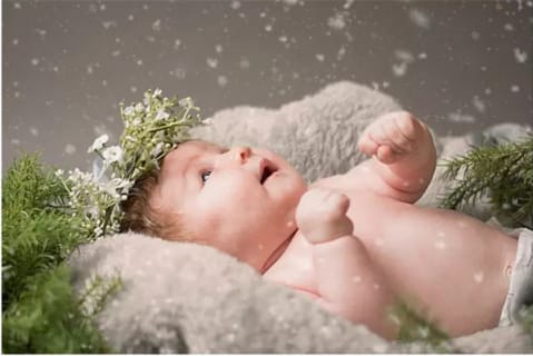 王女士头像